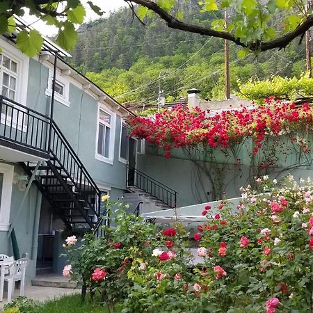 Guest House Green Rose Borjomi Exterior foto