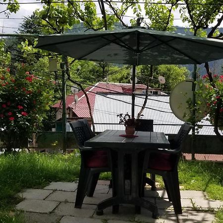 Guest House Green Rose Borjomi Exterior foto
