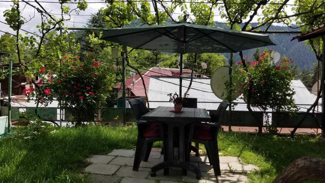 Guest House Green Rose Borjomi Exterior foto